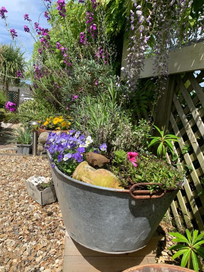 Stargazy Garden Apartment Hayle Luaran gambar