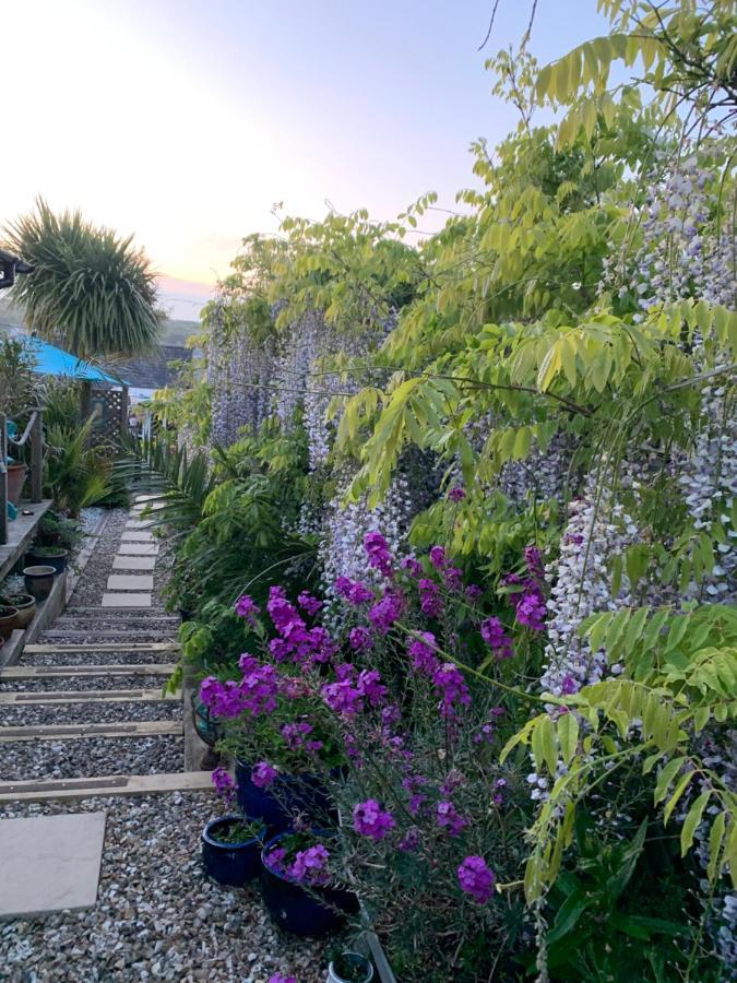 Stargazy Garden Apartment Hayle Luaran gambar